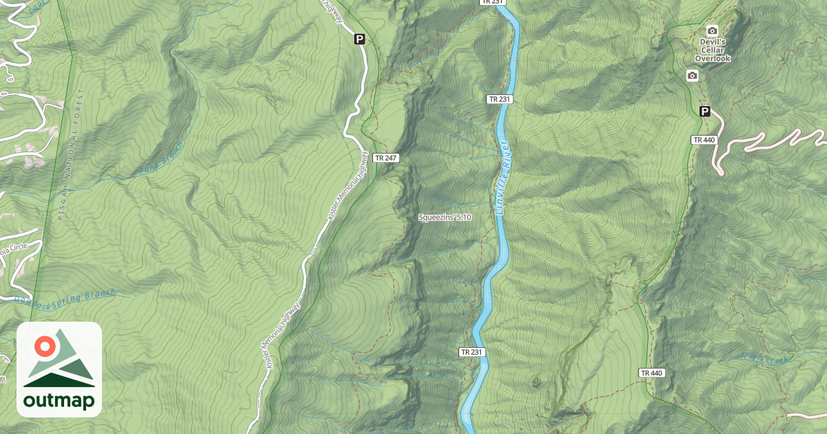 Map of Squeezins'