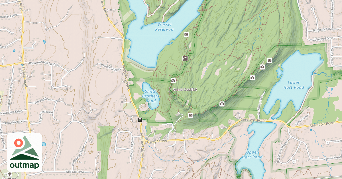 Map of Animal Crack