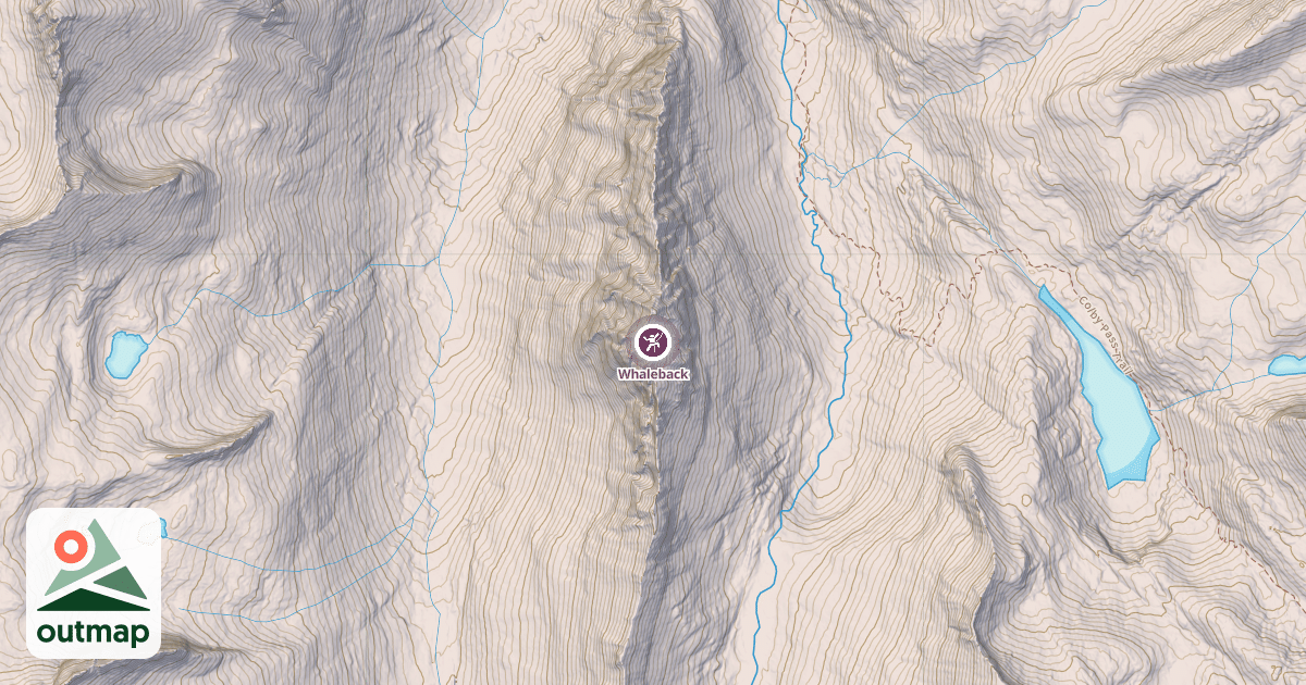 Map of Whaleback