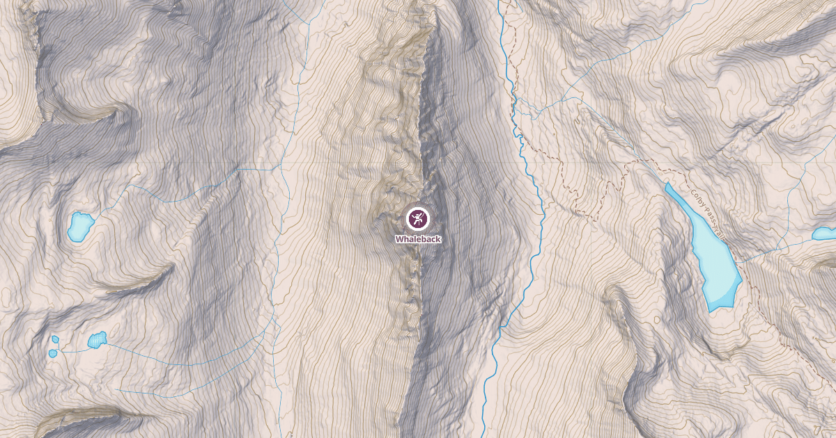 Map preview of Whaleback