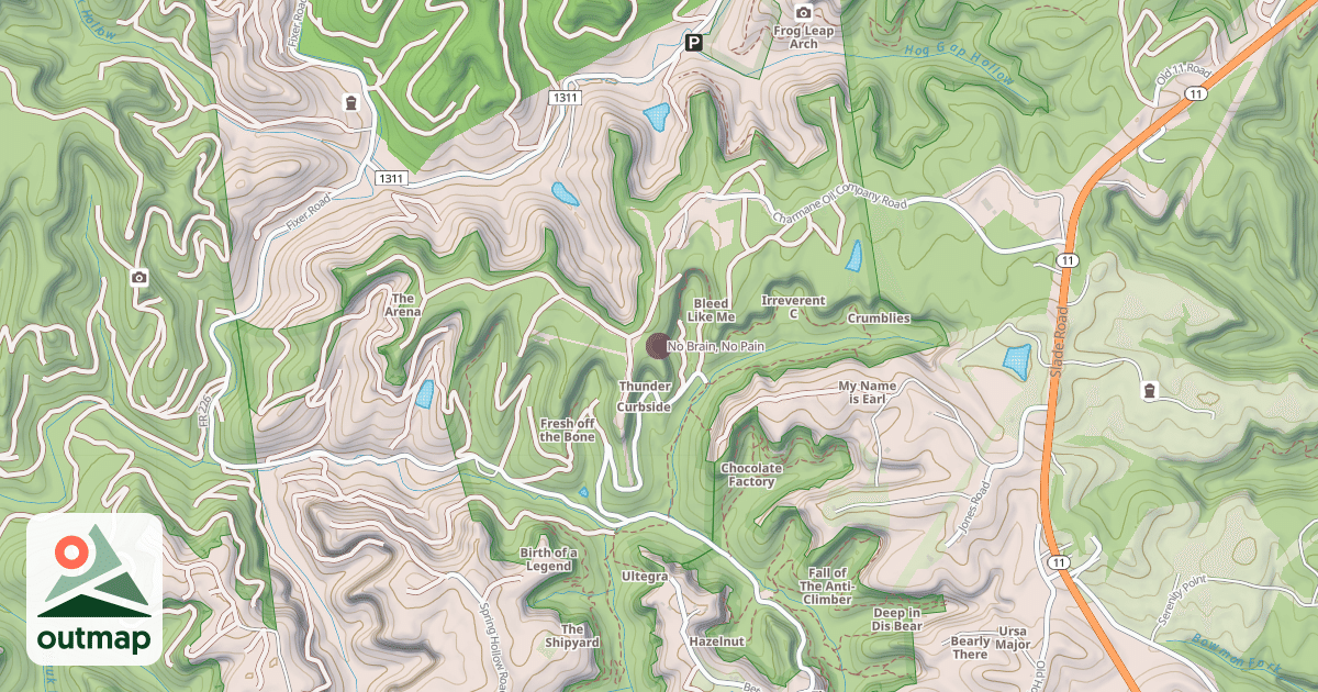 Map of No Brain, No Pain