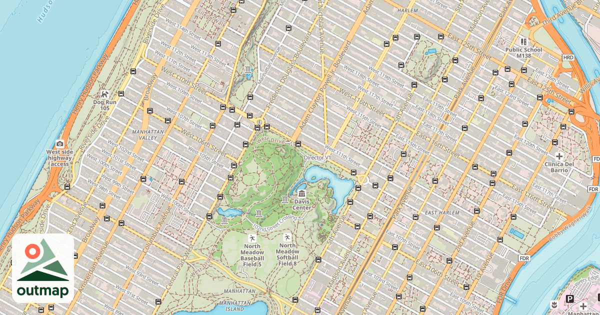 Map of Director