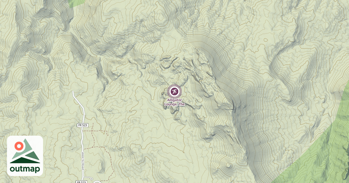 Map of Alligator Lounge, The