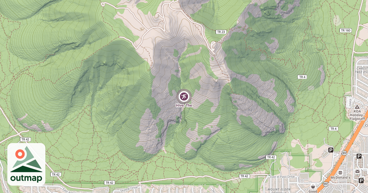Map of Hive, The