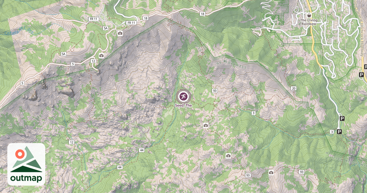 Map of Seed, The