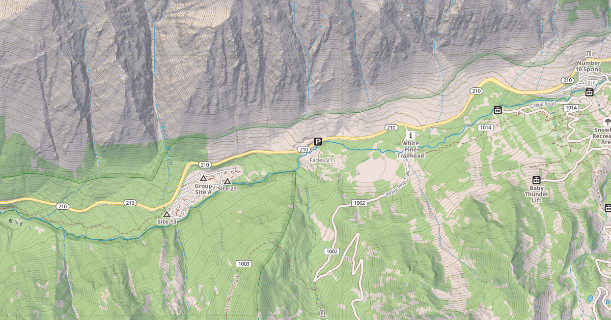 Map preview of Facies