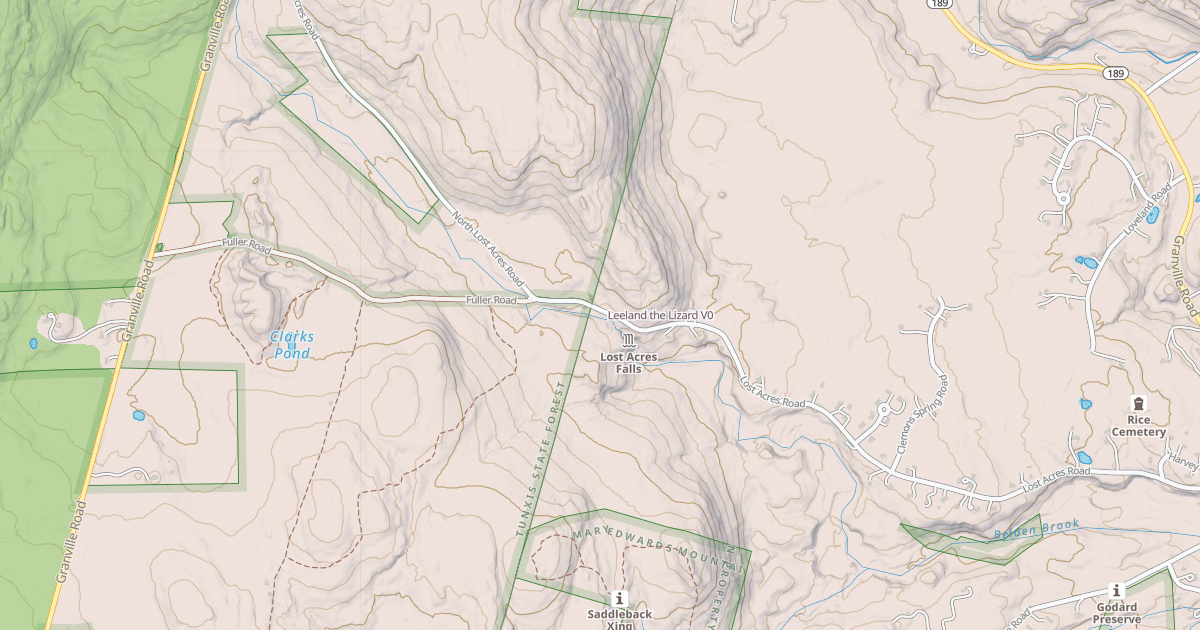 Map preview of Leeland the Lizard