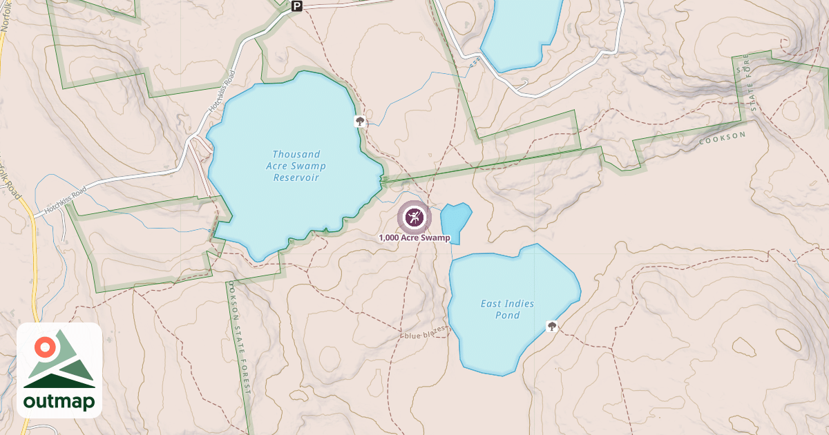 Map of 1,000 Acre Swamp