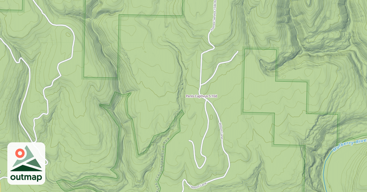 Map of Penis Captivus