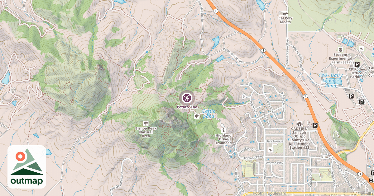 Map of Potato, The