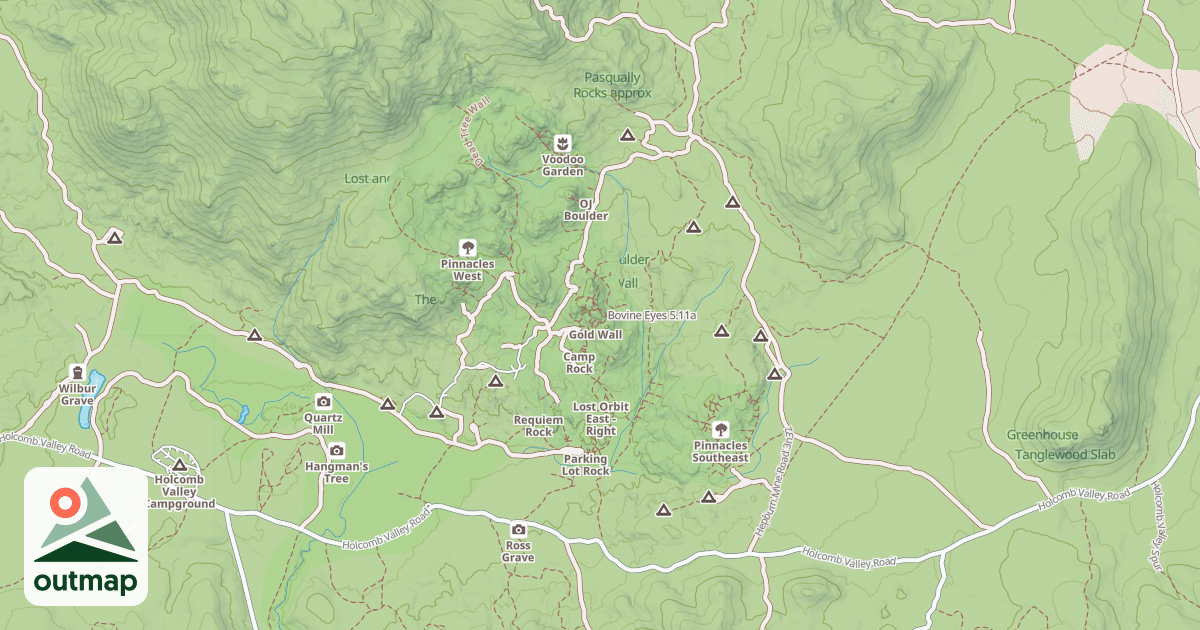Map of Bovine Eyes
