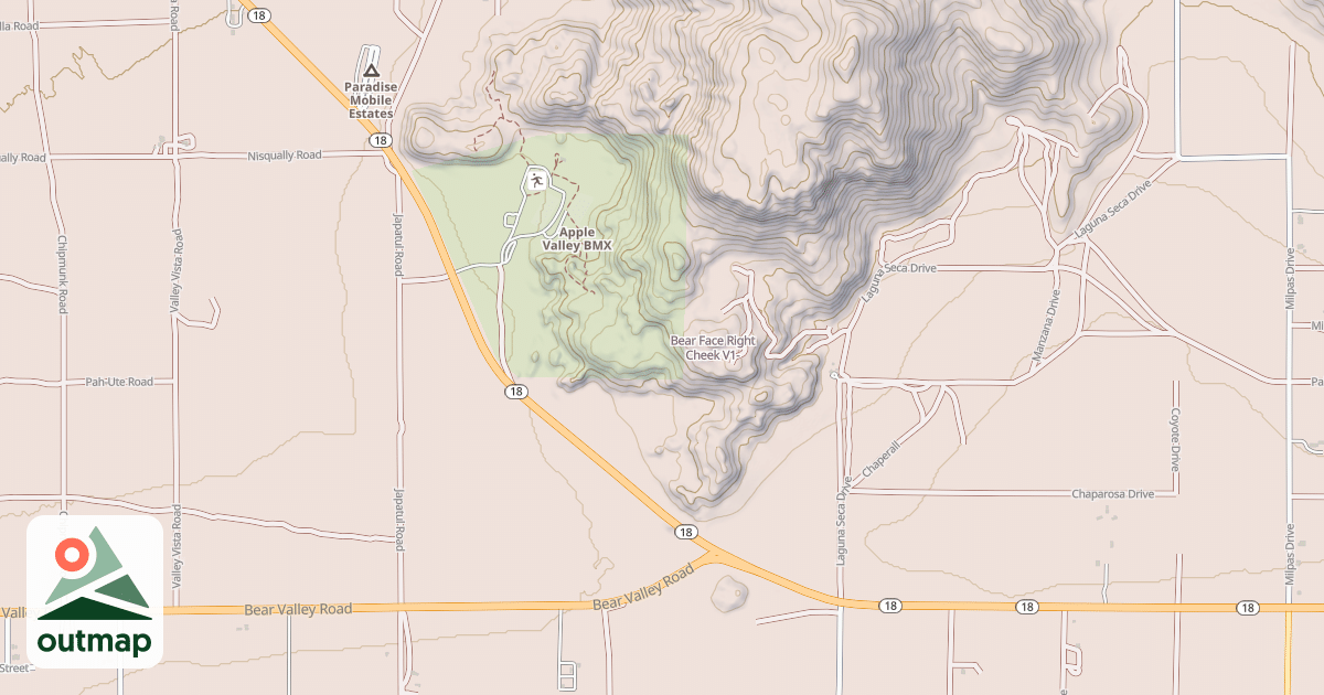 Map of Bear Face Right Cheek