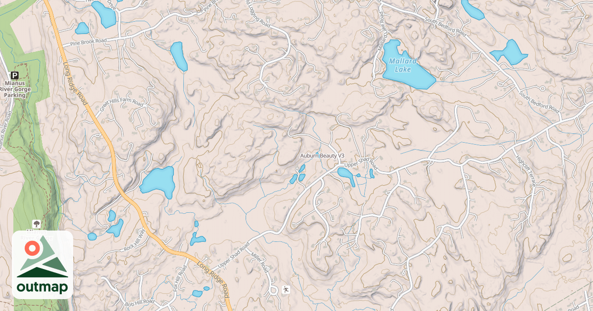 Map of Auburn Beauty