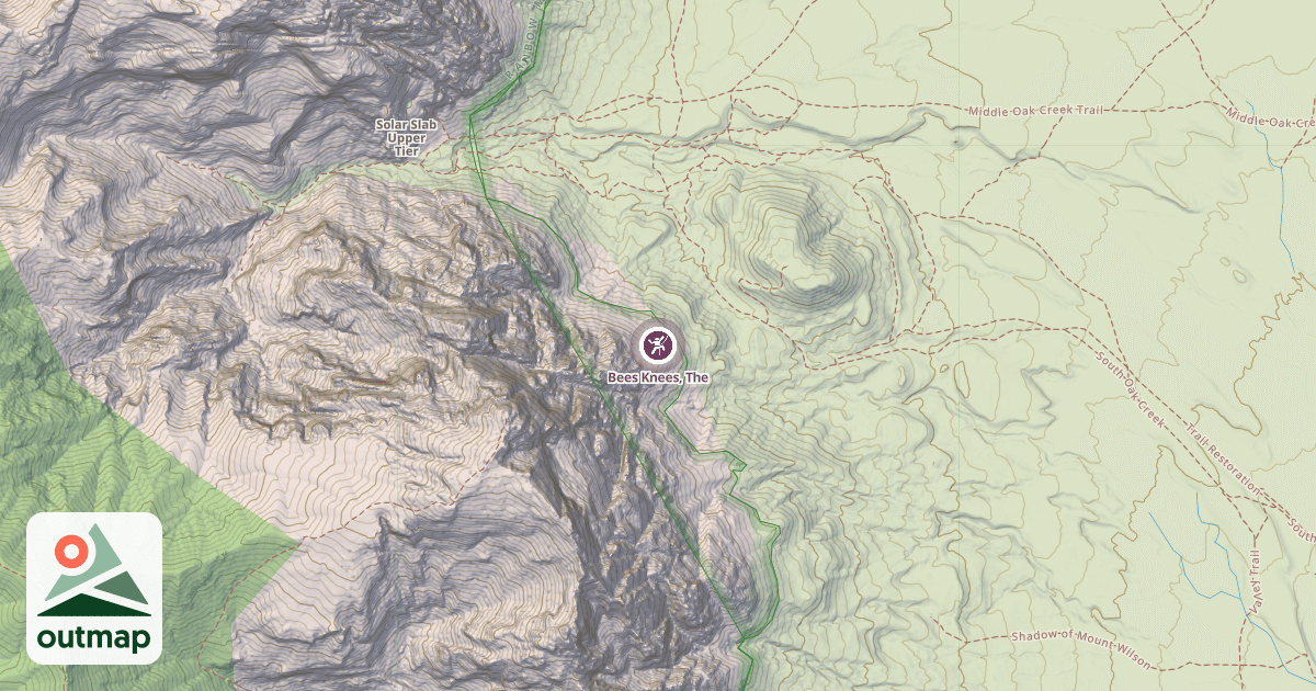 Map of Bees Knees, The