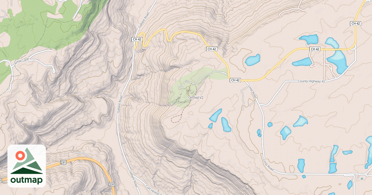 Map of Orchid
