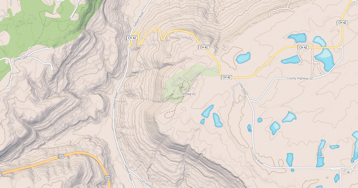 Map preview of Orchid
