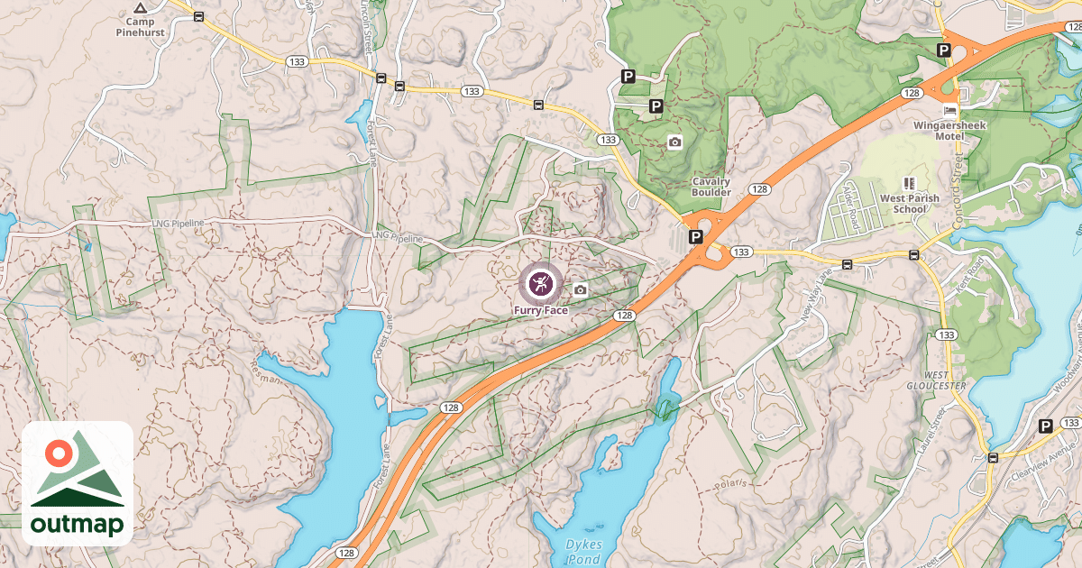 Map of Furry Face