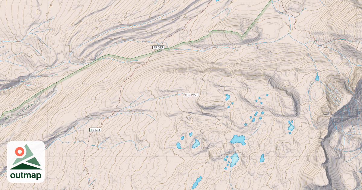 Map of NE Rib
