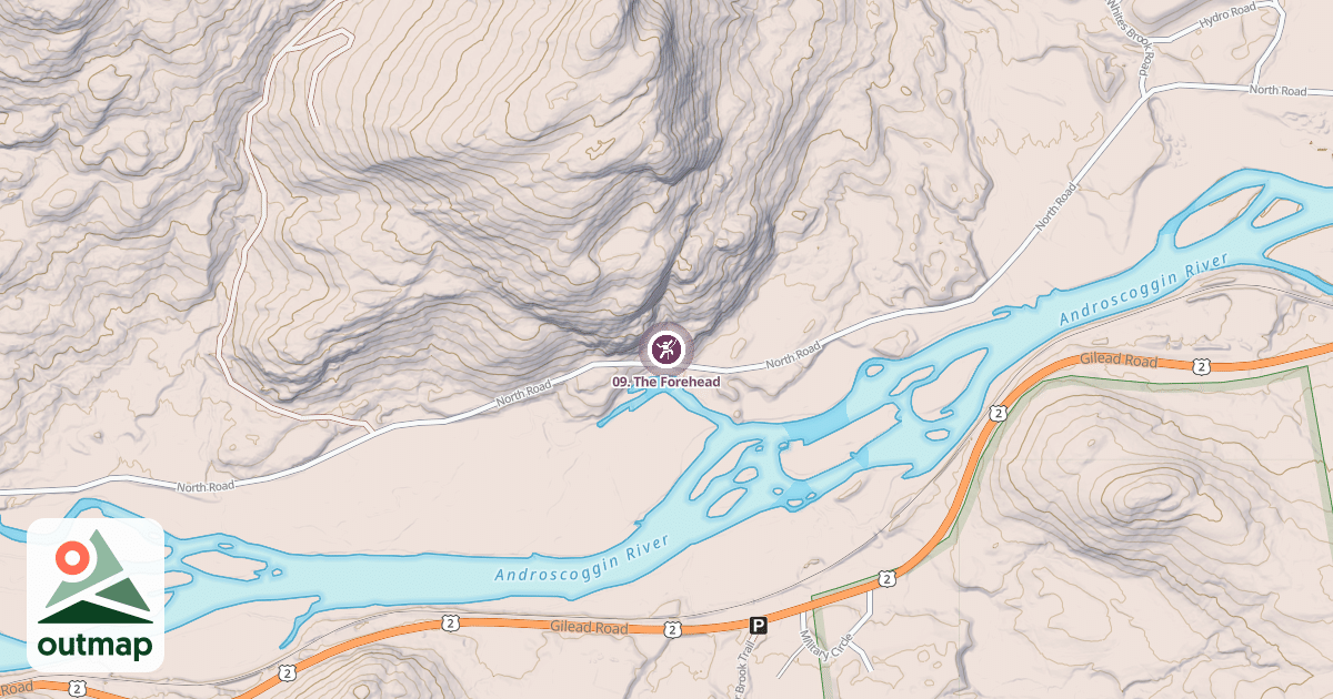 Map of 09. The Forehead