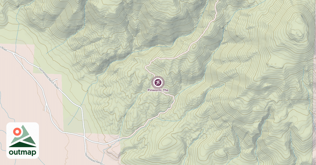 Map of Pinworm, The