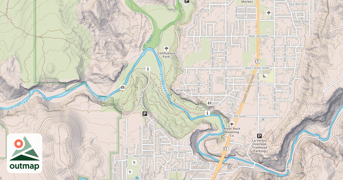 Map of Cactus Legs