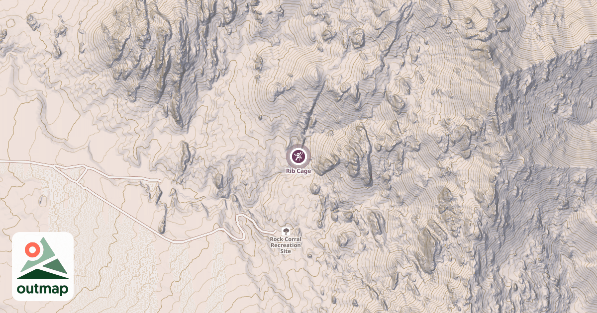 Map of Rib Cage