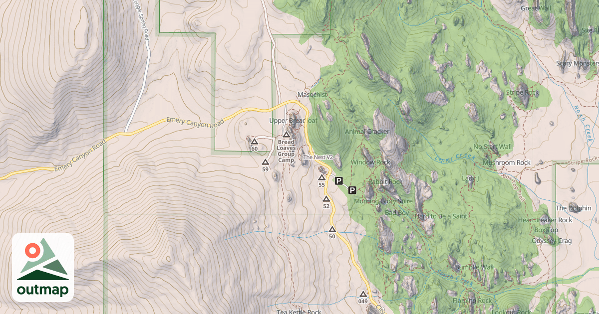 Map of The Nest