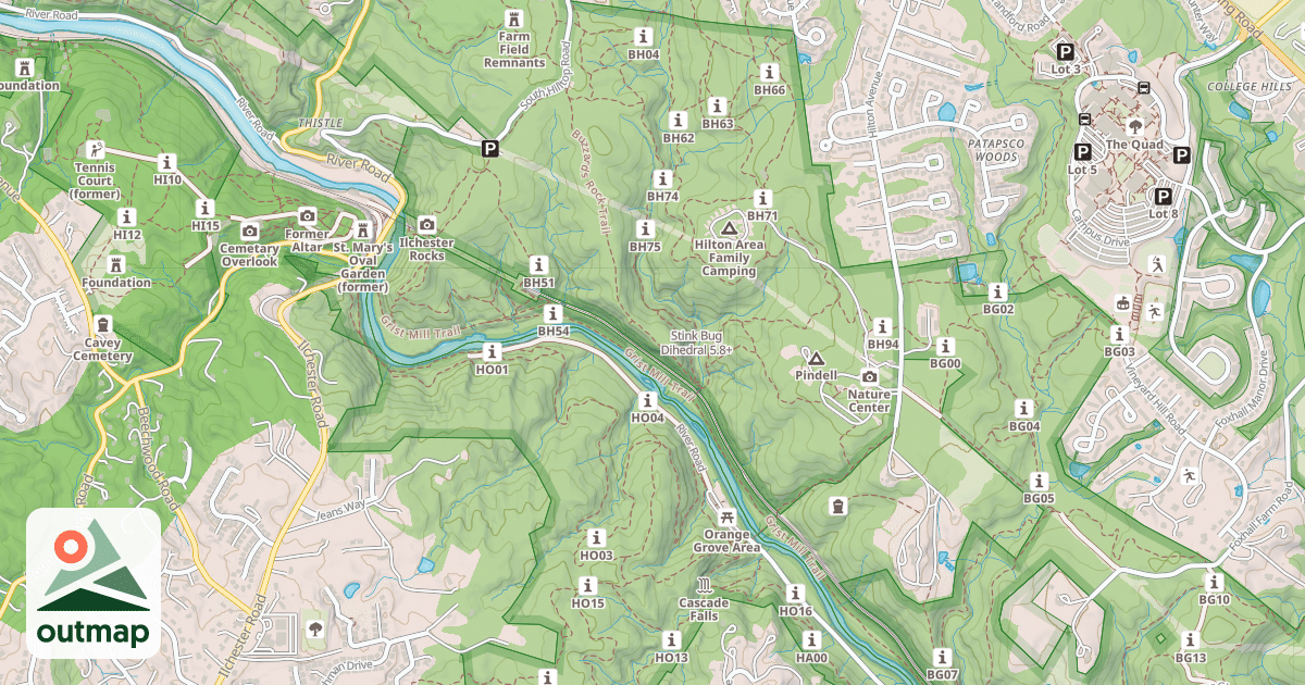 Map of Stink Bug Dihedral