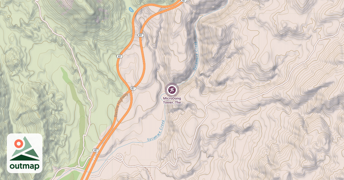 Map of MicroDong Tower, The