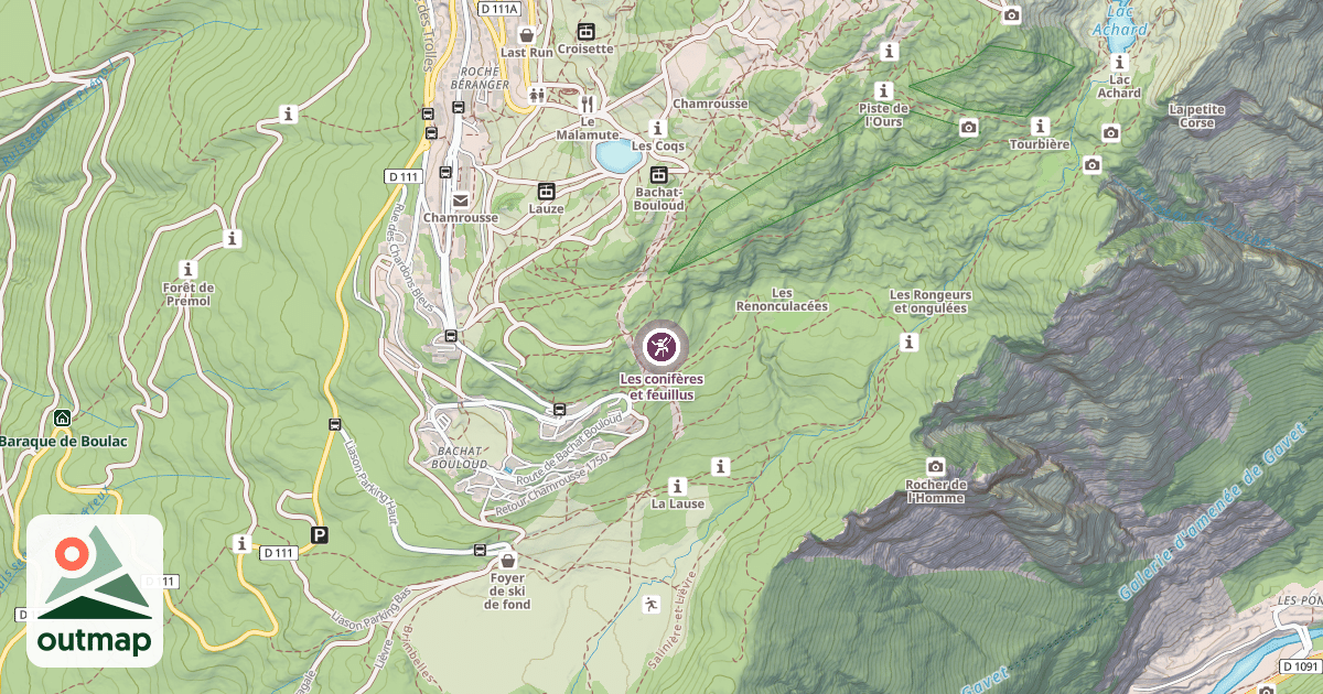 Map of Les conifères et feuillus