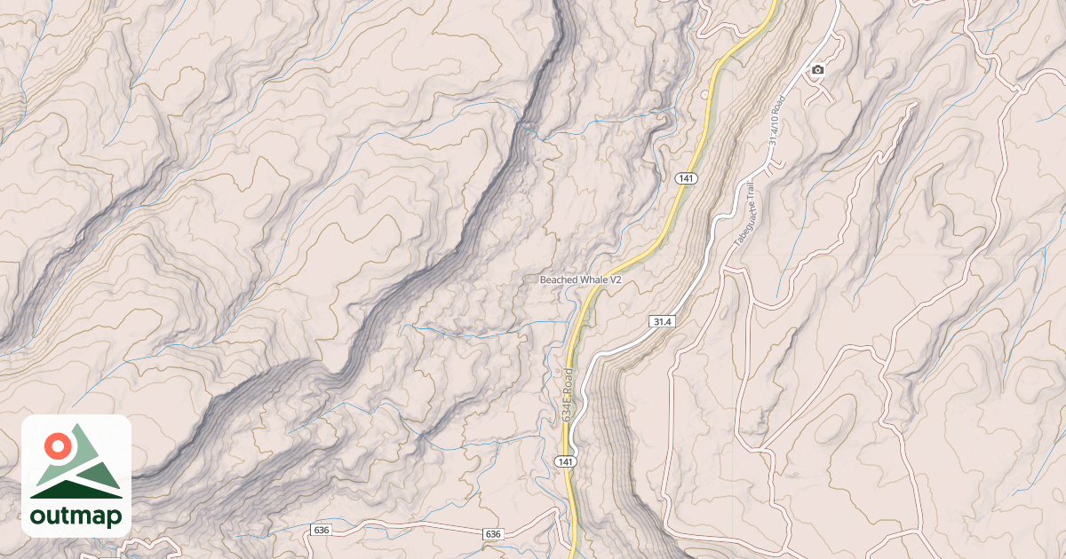 Map of Beached Whale