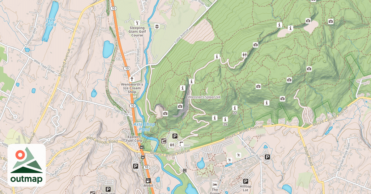 Map of Wiessner's Spleen