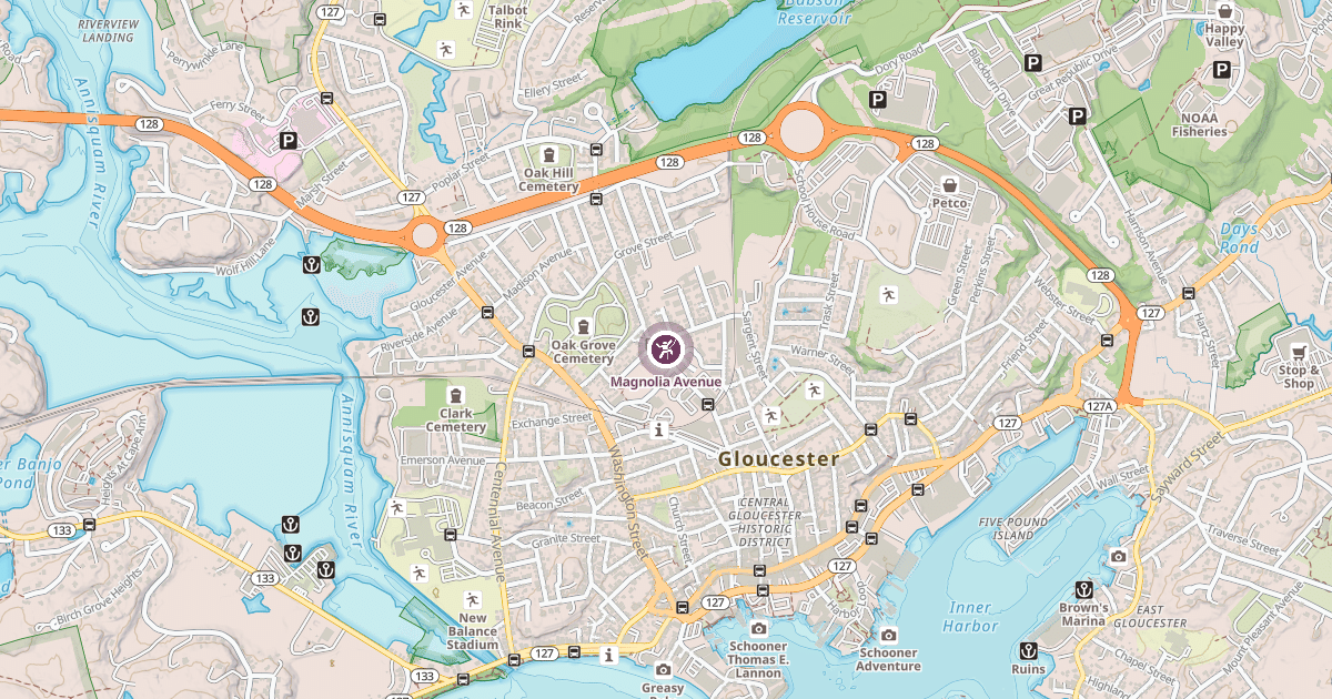 Map preview of Magnolia Avenue