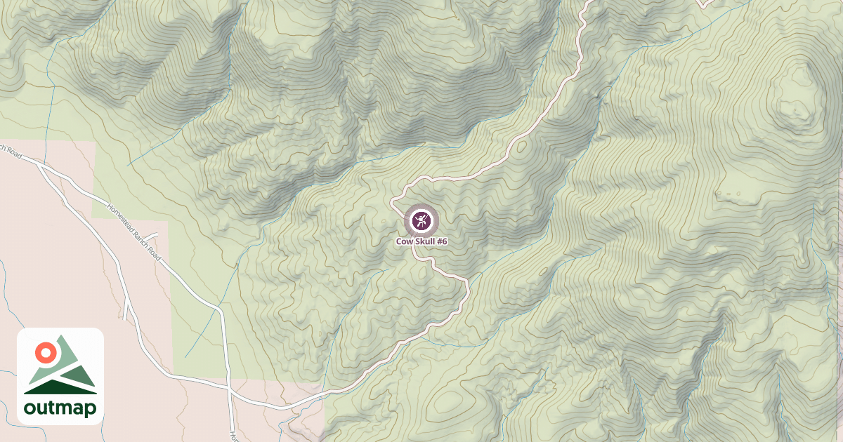 Map of Cow Skull #6