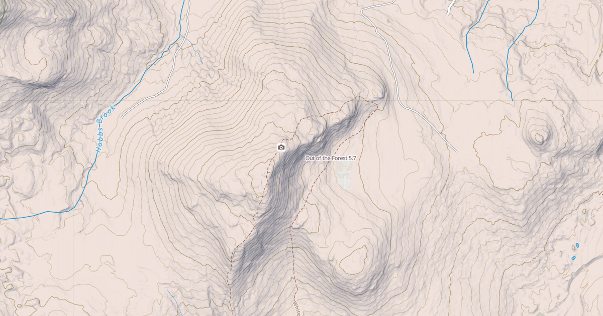 Map preview of Out of the Forest