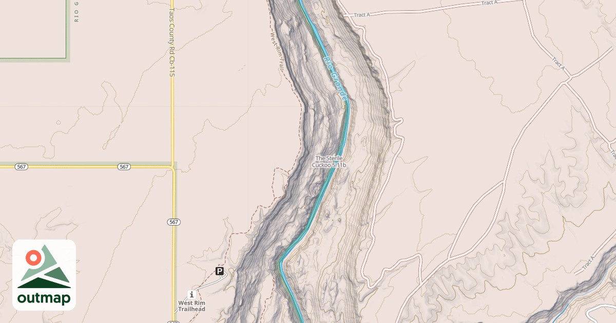 Map of The Sterile Cuckoo
