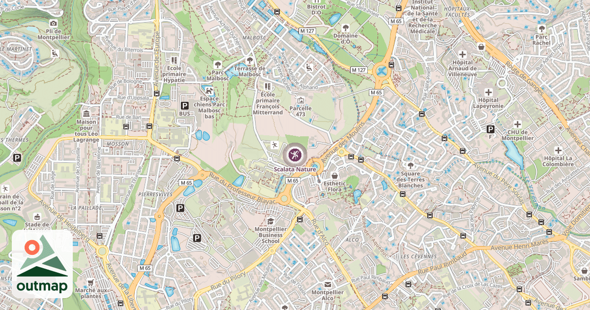 Map of Scalata Nature