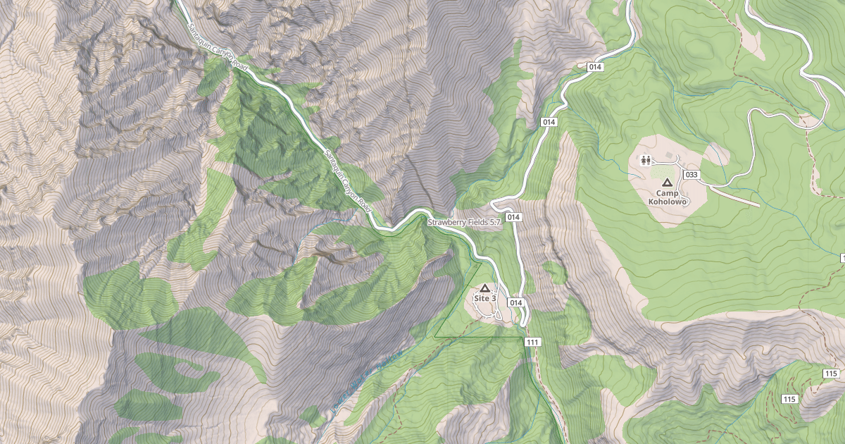 Map preview of Strawberry Fields
