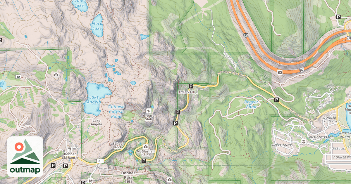Map of Birdie
