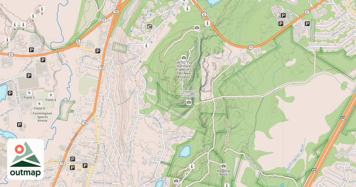 Map of Tangled Up in Green