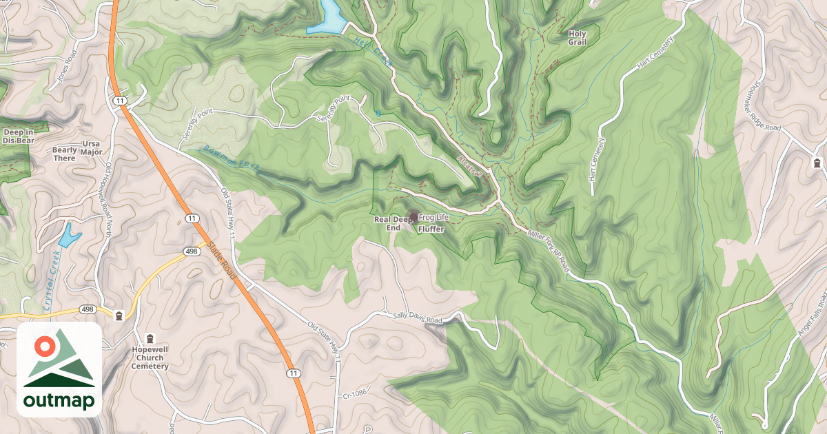 Map of Frog Life