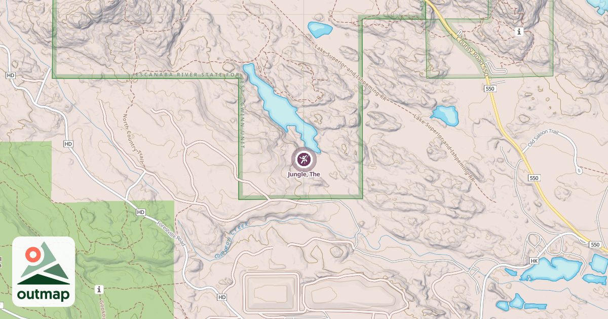 Map of Jungle, The