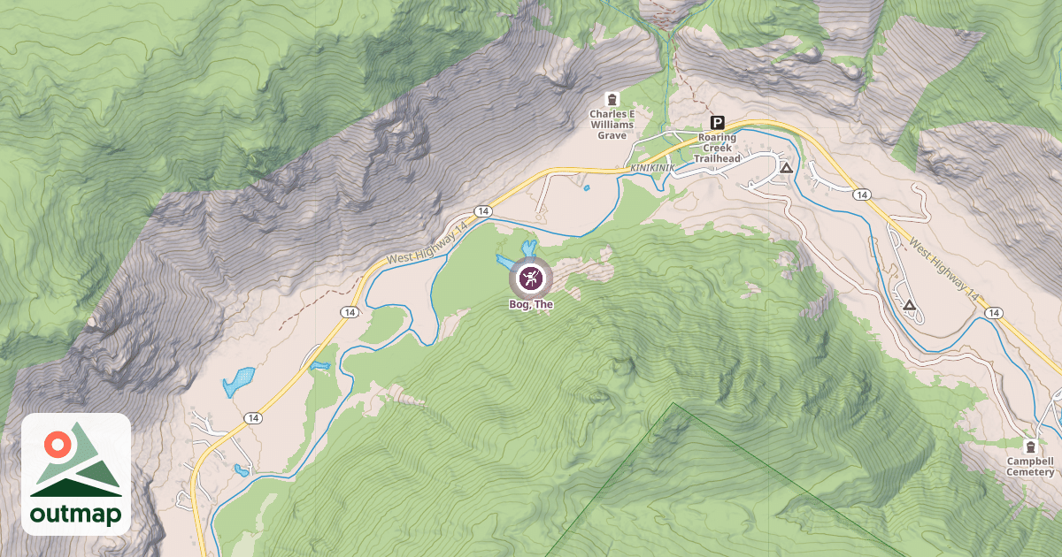 Map of Bog, The