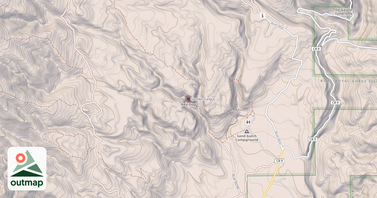 Map of Slender Fungus