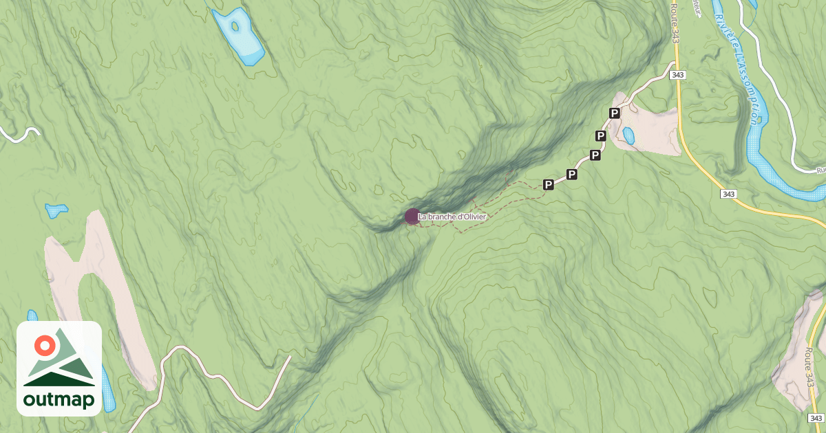 Map of La branche d'Olivier