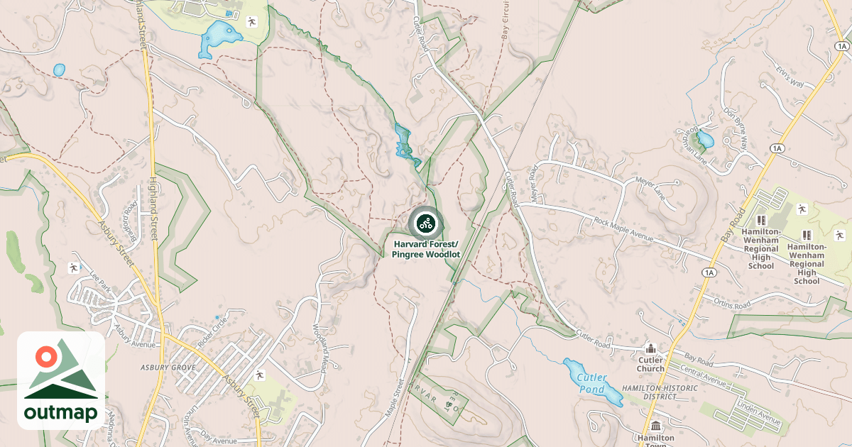 Map of Harvard Forest/Pingree Woodlot