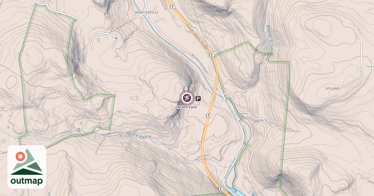 Map of Acorn Face