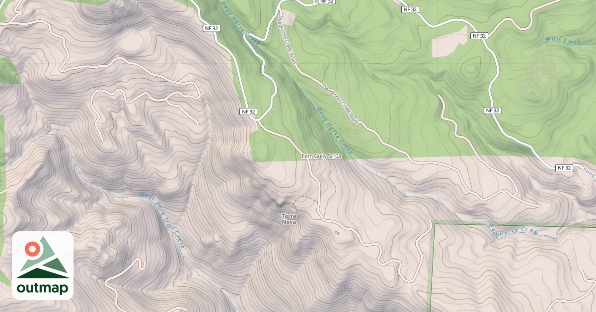Map of Fern Gully