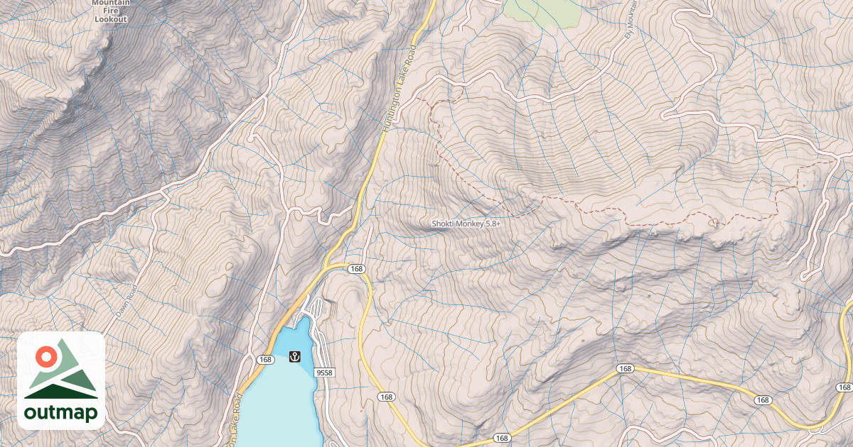 Map of Shokti Monkey