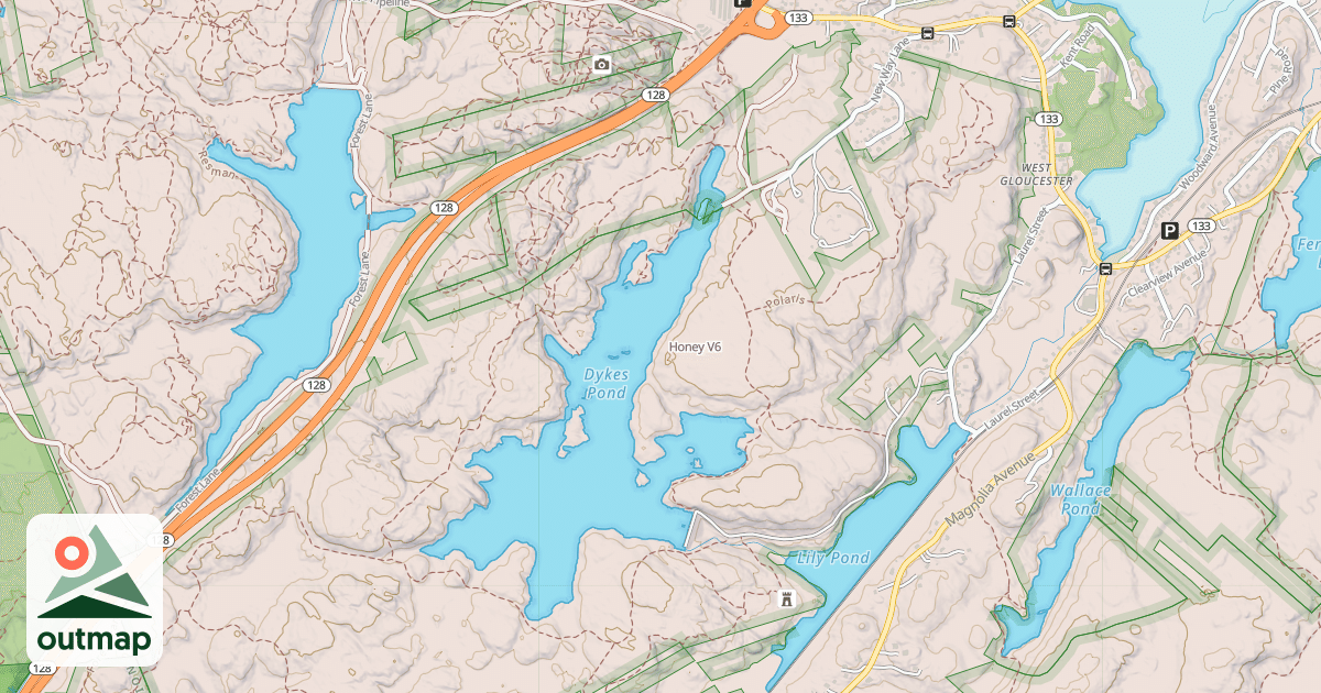 Map of Honey